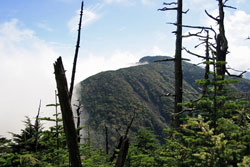 大真名子山・小真名子山
