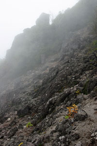 大真名子山・小真名子山