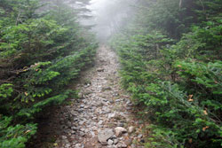 大真名子山・小真名子山
