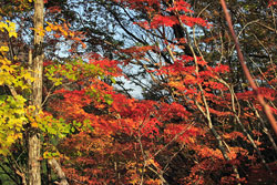 大戸岳