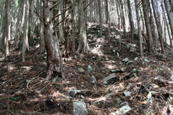 笹目倉山