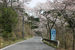 笹目倉山