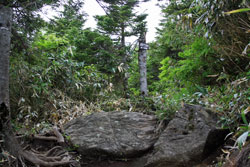 田代山