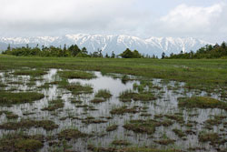 田代山
