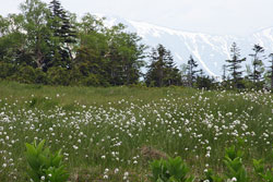 田代山