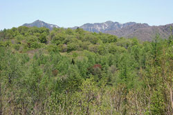 弥太郎山