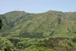 弥太郎山