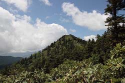 台倉高山