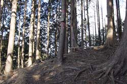 羽賀場山