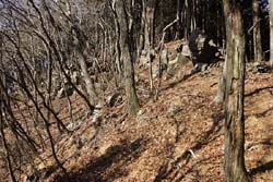 羽賀場山