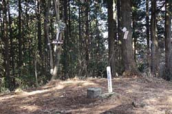 羽賀場山