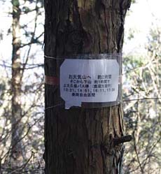 羽賀場山