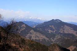 羽賀場山