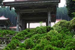 羽賀場山