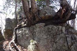 火戸尻山