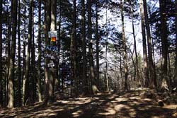 火戸尻山