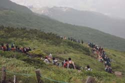 唐松岳