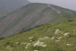 唐松岳
