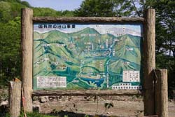 小白森山