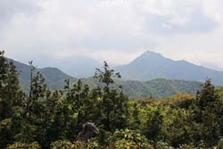 小白森山