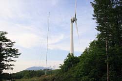 小白森山