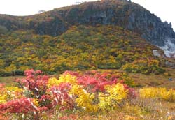 栗駒山