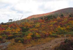 栗駒山