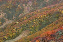 栗駒山