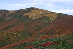 栗駒山