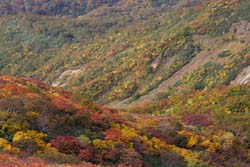 栗駒山
