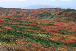栗駒山