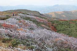 栗駒山