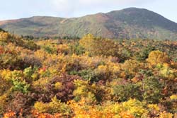 栗駒山