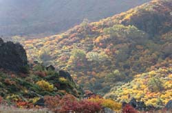 栗駒山
