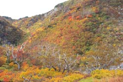 栗駒山