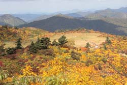 栗駒山