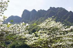 妙義山