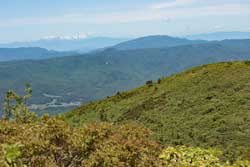 七ケ岳