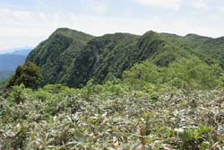 七ケ岳