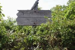 七ケ岳