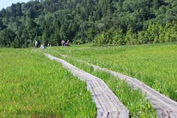 燧ケ岳(熊沢田代)