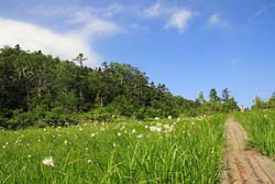 燧ケ岳(熊沢田代)