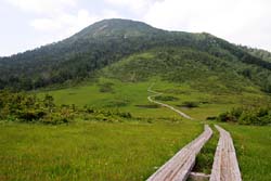 燧ケ岳(熊沢田代)