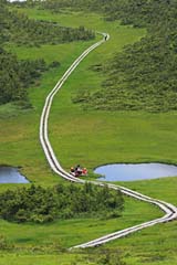 燧ケ岳(熊沢田代)