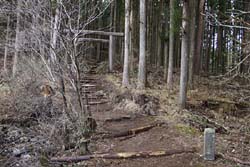 外山