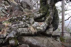 外山
