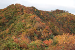 越後駒ケ岳
