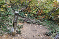 越後駒ケ岳