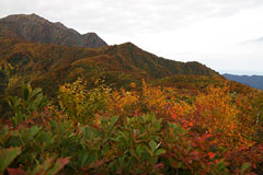 越後駒ケ岳