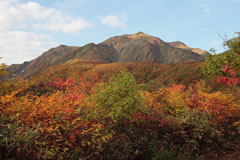 越後駒ケ岳